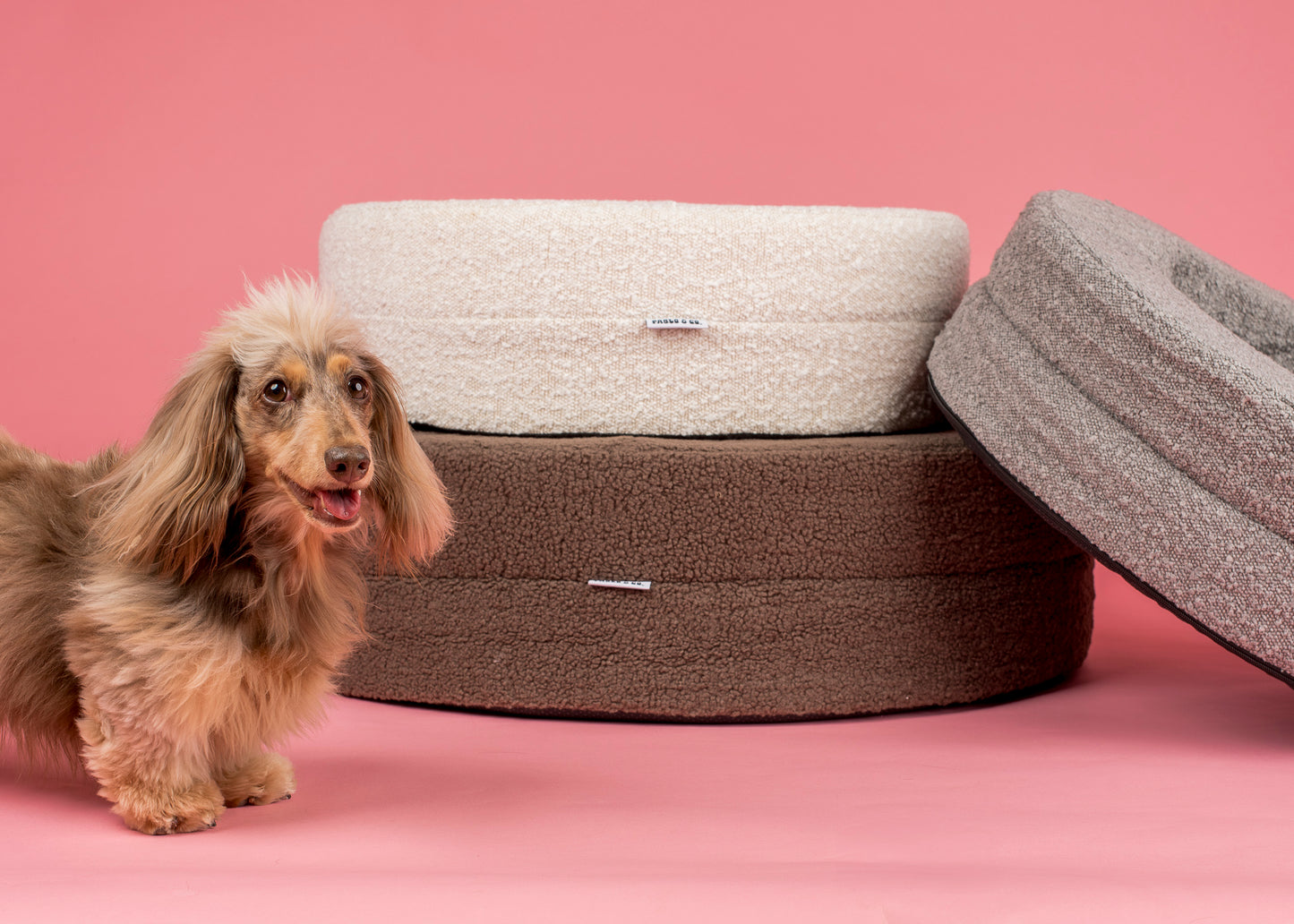 Orthopedic Memory Foam Boucle Donut Dog Bed: Cloud