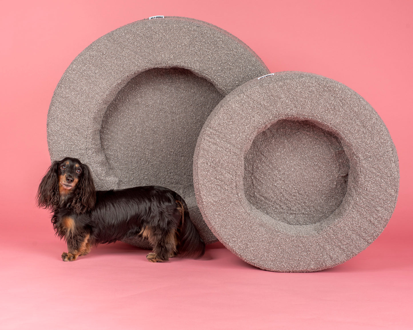 Orthopedic Memory Foam Boucle Donut Dog Bed: Storm