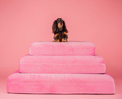 Orthopedic Memory Foam Velvet Dog Bed: Strawberries & Cream