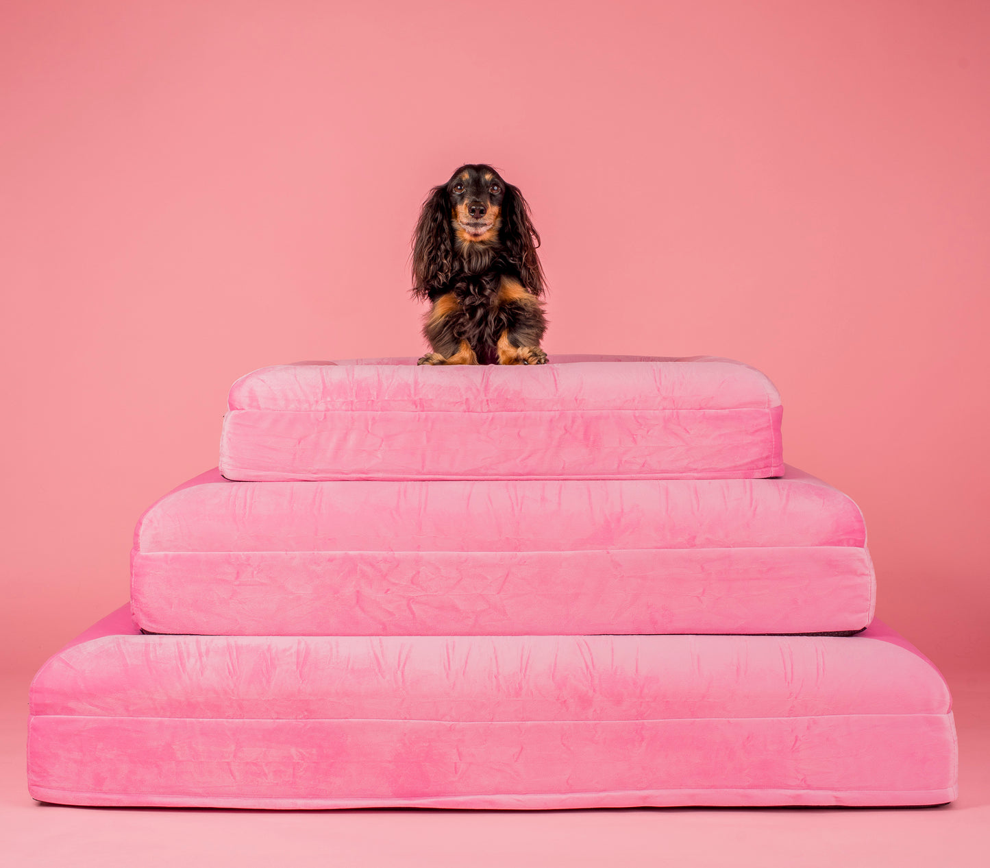 Orthopedic Memory Foam Velvet Dog Bed: Strawberries & Cream