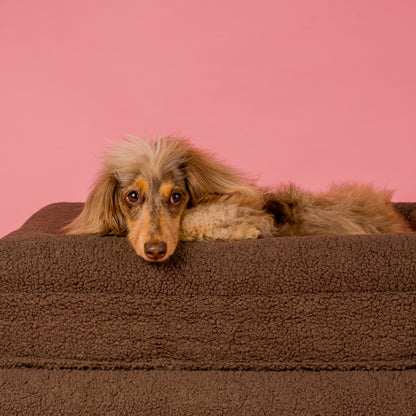 Orthopedic Memory Foam Teddy Dog Bed: Espresso