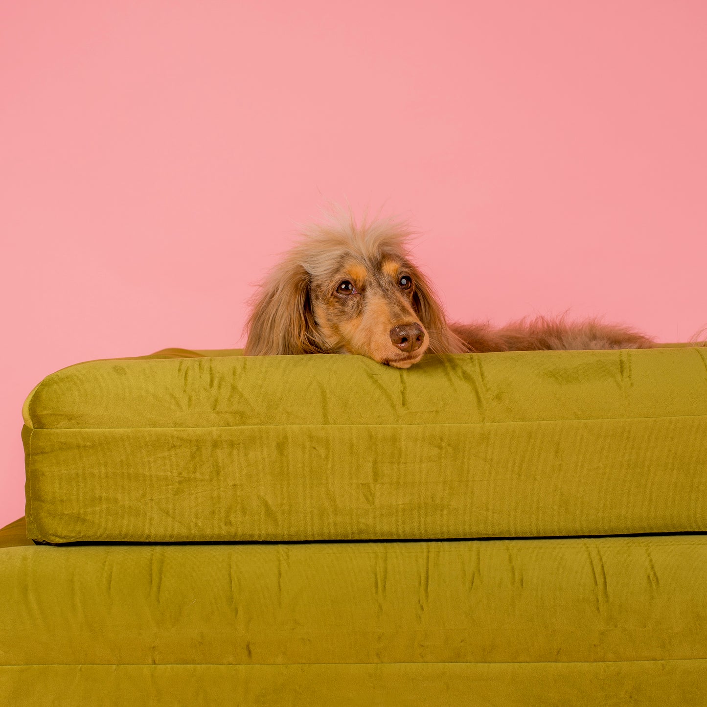 Orthopedic Memory Foam Velvet Dog Bed: Pistachio