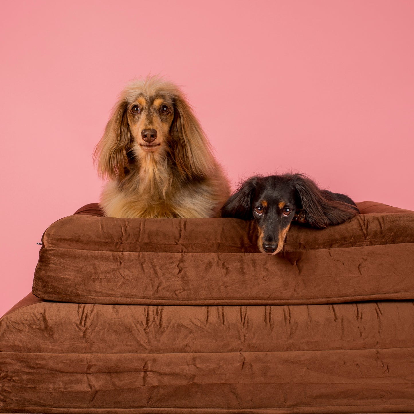 Orthopedic Memory Foam Velvet Dog Bed: Dark Chocolate