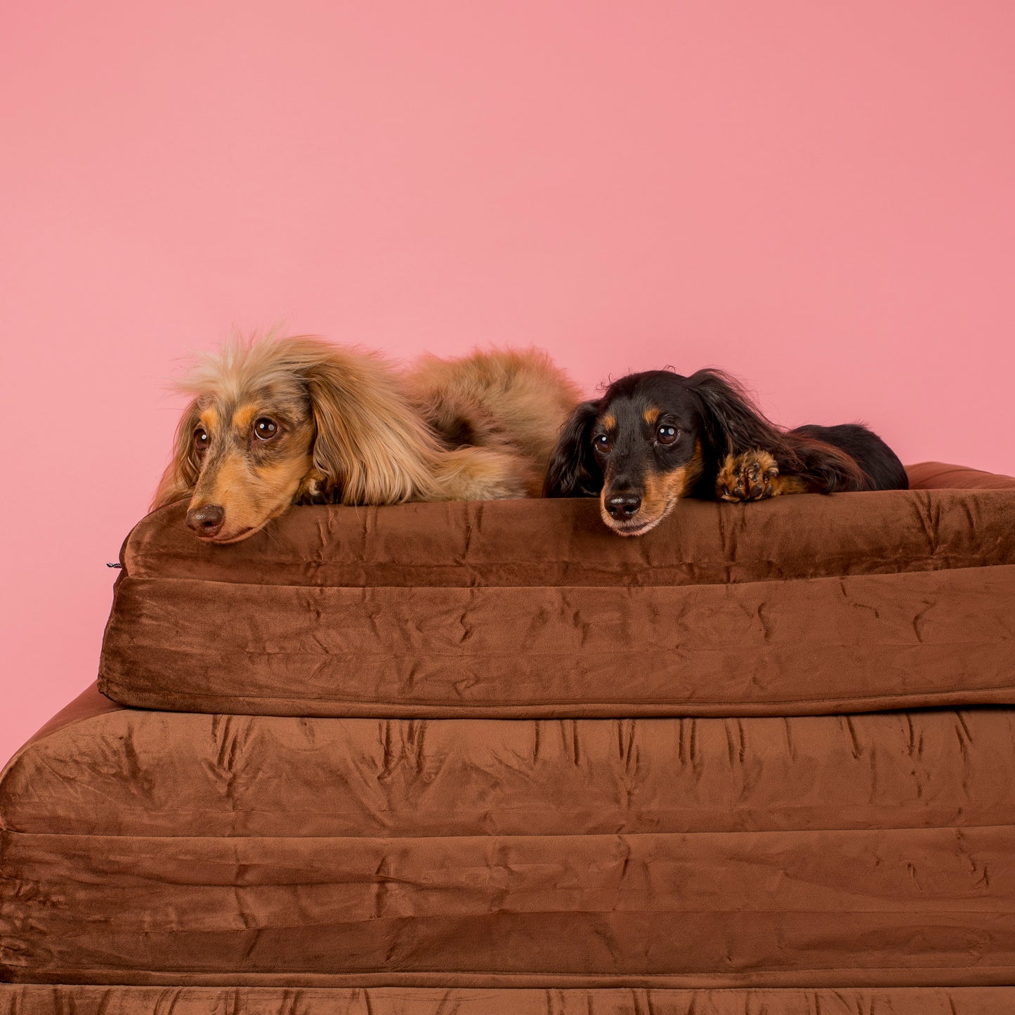 Orthopedic Memory Foam Velvet Dog Bed: Dark Chocolate