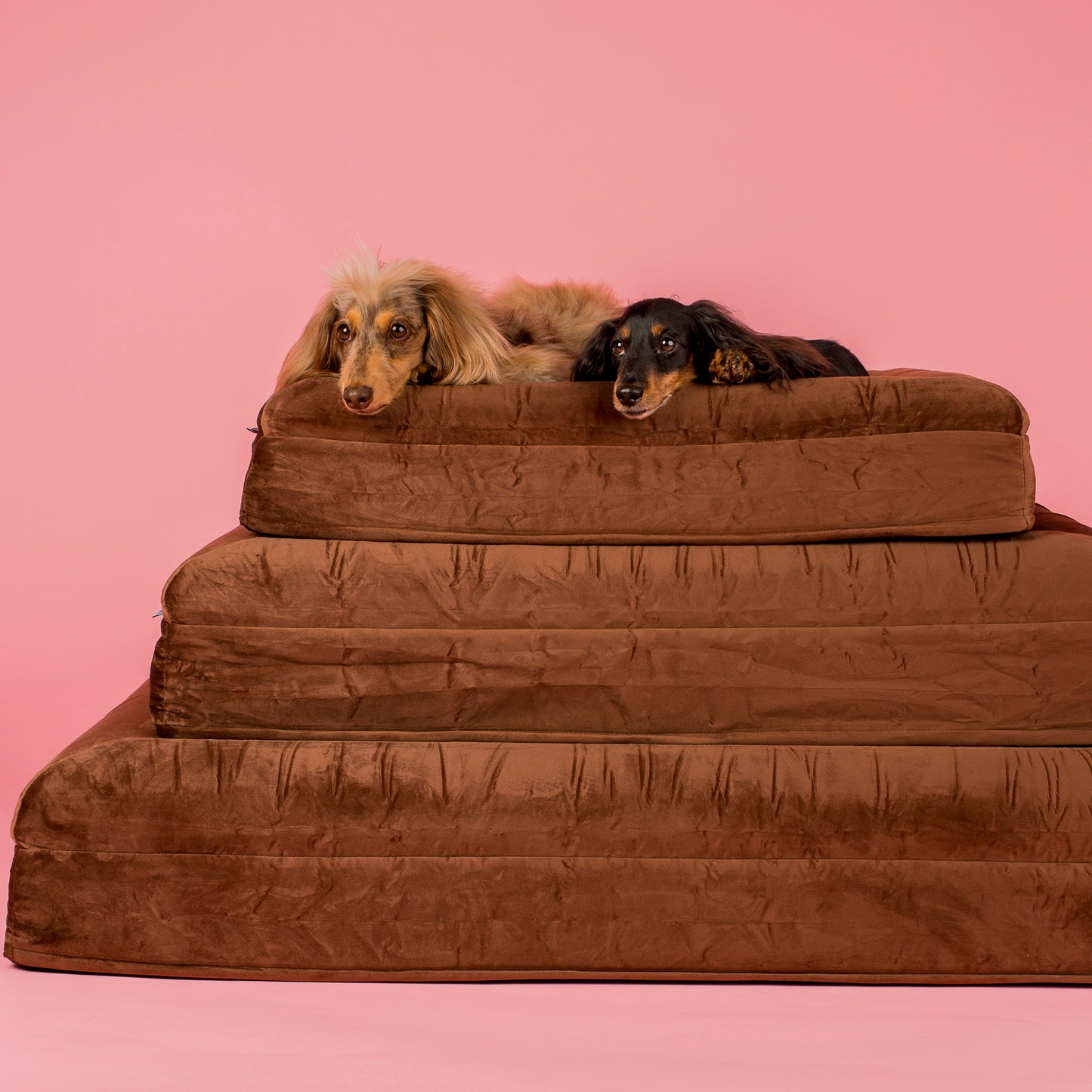 Orthopedic Memory Foam Velvet Dog Bed: Dark Chocolate