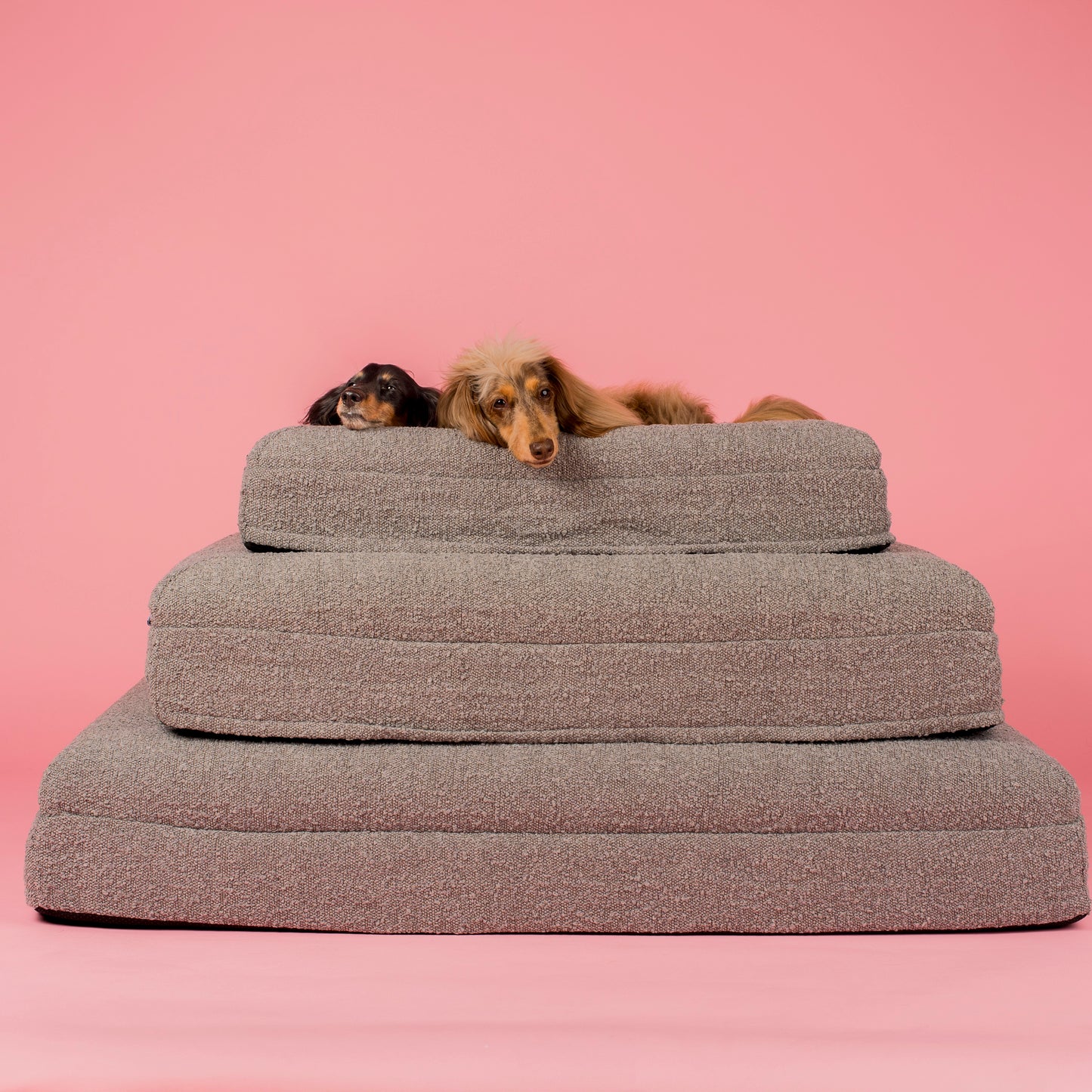 Orthopedic Memory Foam Boucle Dog Bed: Storm