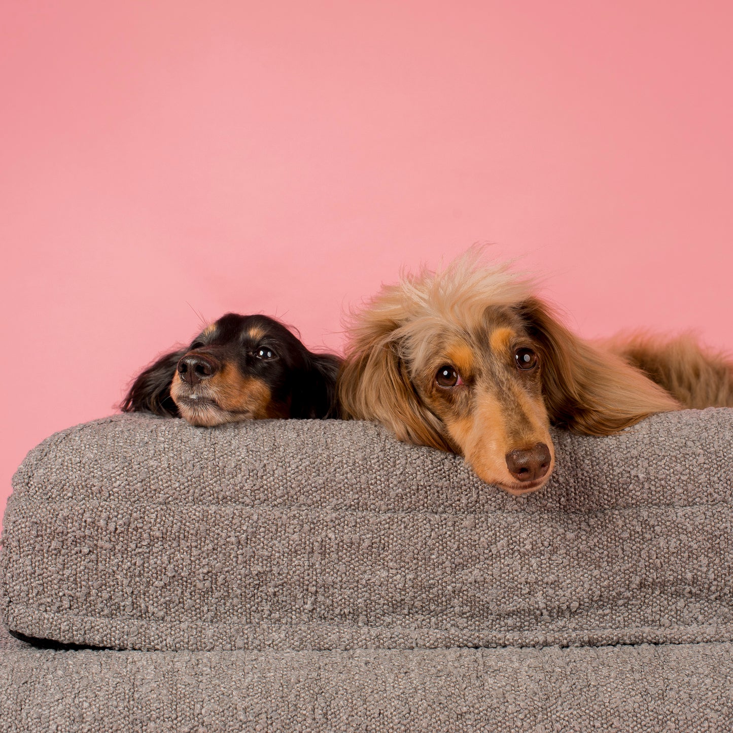 Orthopedic Memory Foam Boucle Dog Bed: Storm