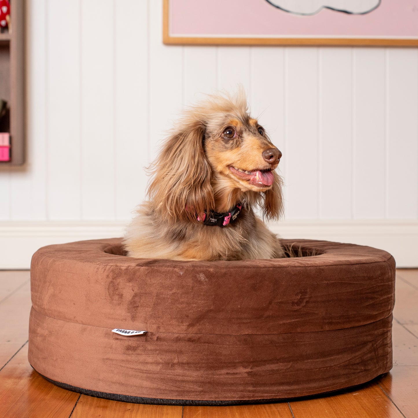 Orthopedic Memory Foam Velvet Donut Dog Bed: Dark Chocolate