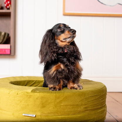 Orthopedic Memory Foam Velvet Donut Dog Bed: Pistachio