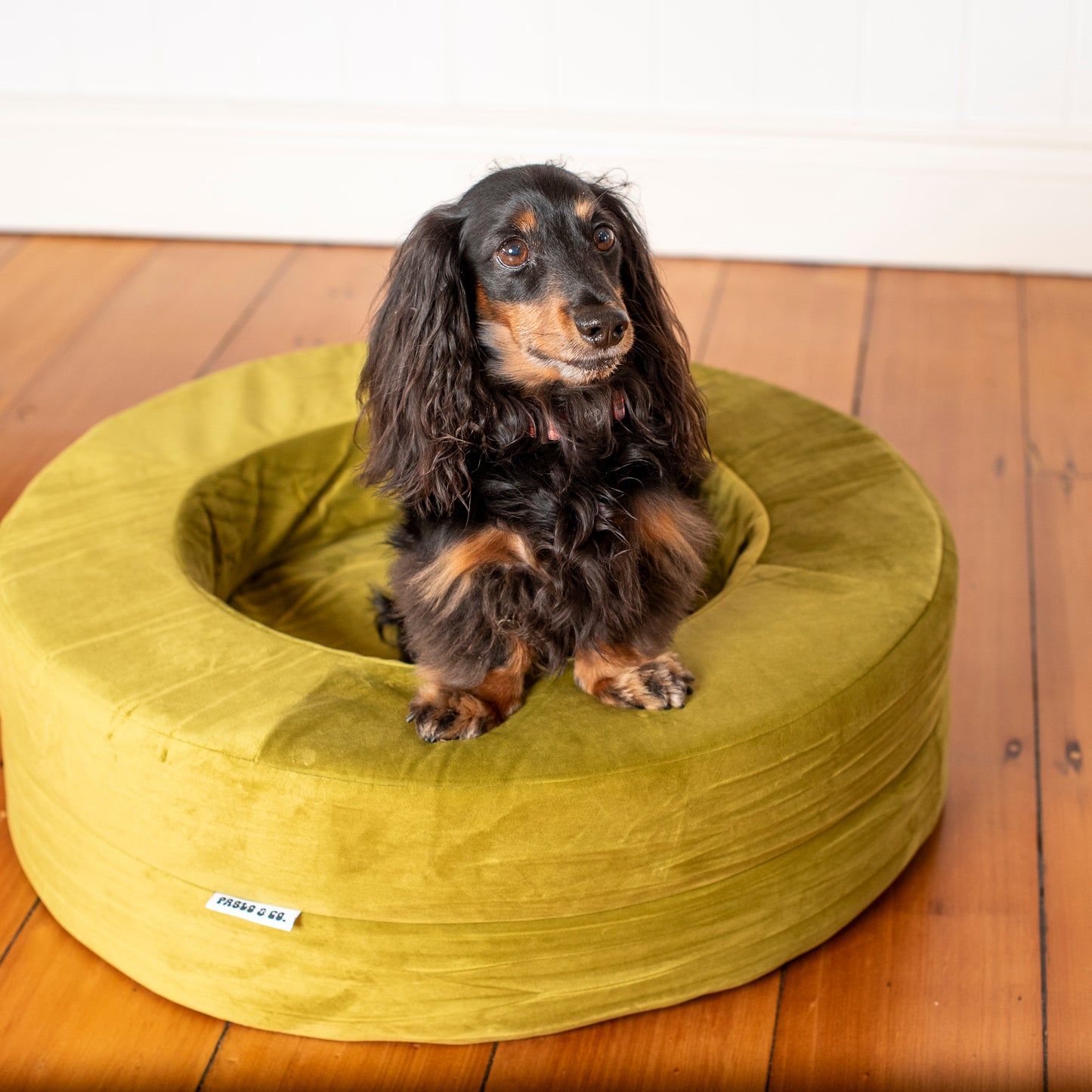 Orthopedic Memory Foam Velvet Donut Dog Bed: Pistachio