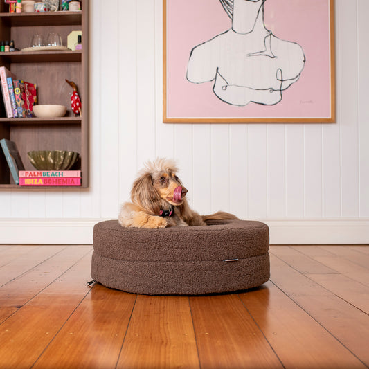 Orthopedic Memory Foam Teddy Donut Dog Bed: Espresso