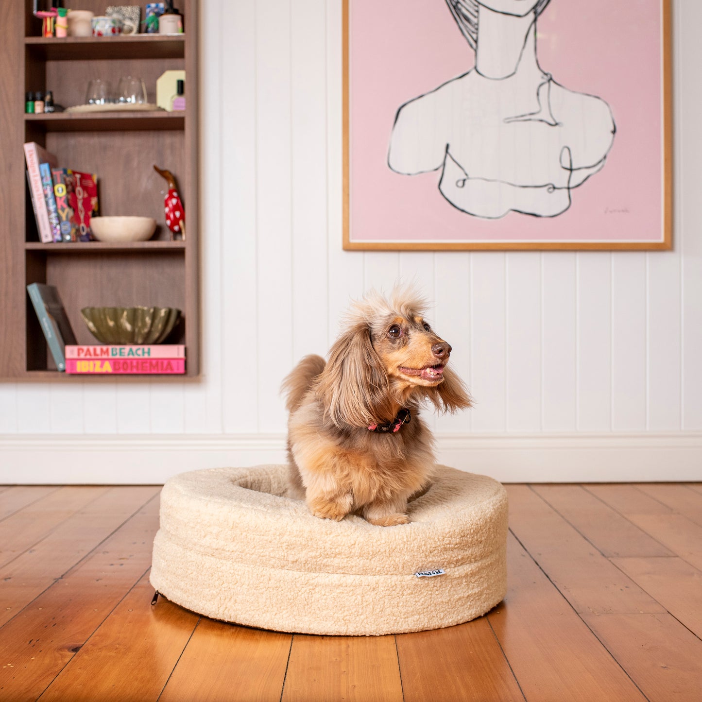 Orthopedic Memory Foam Teddy Donut Dog Bed: Latte