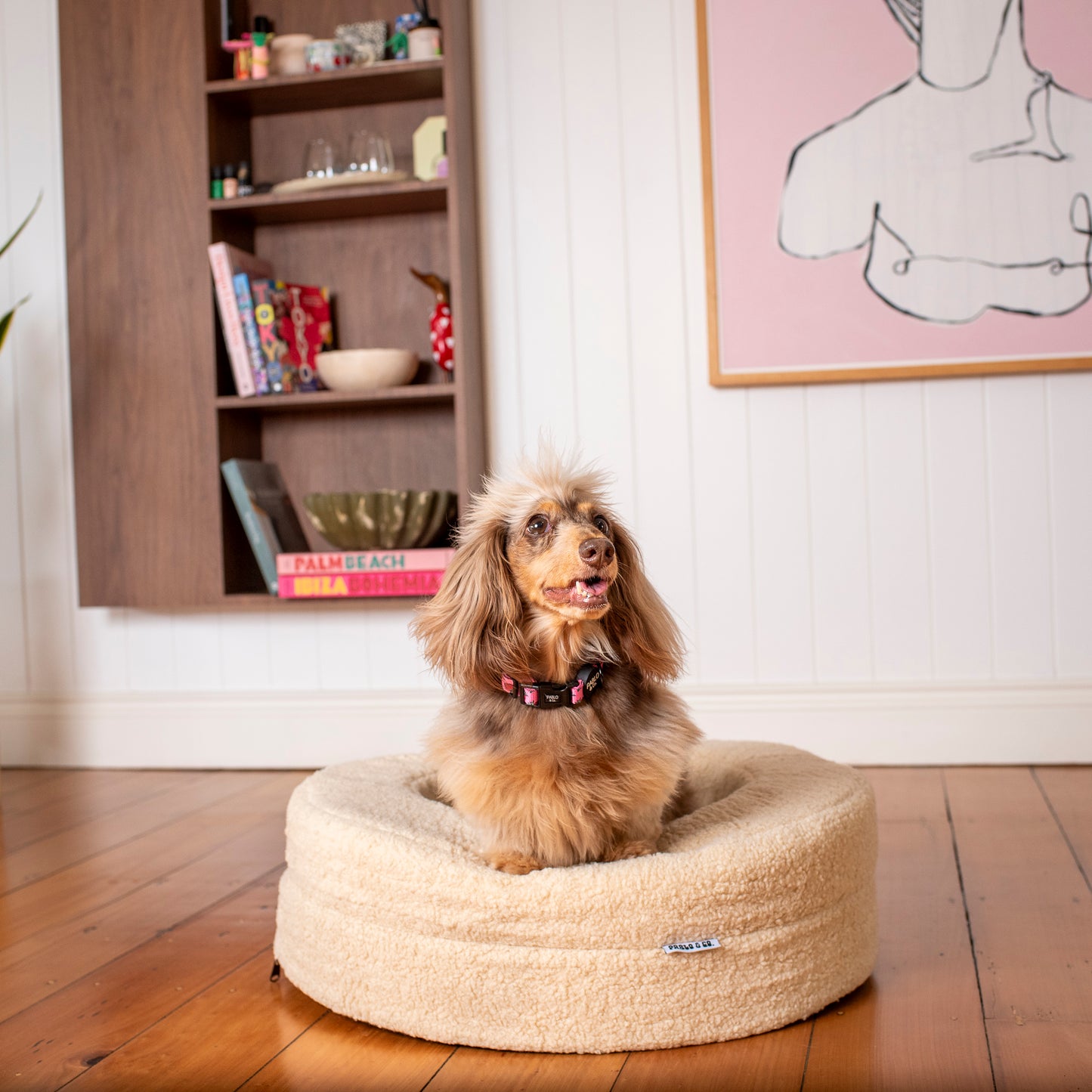 Orthopedic Memory Foam Teddy Donut Dog Bed: Latte