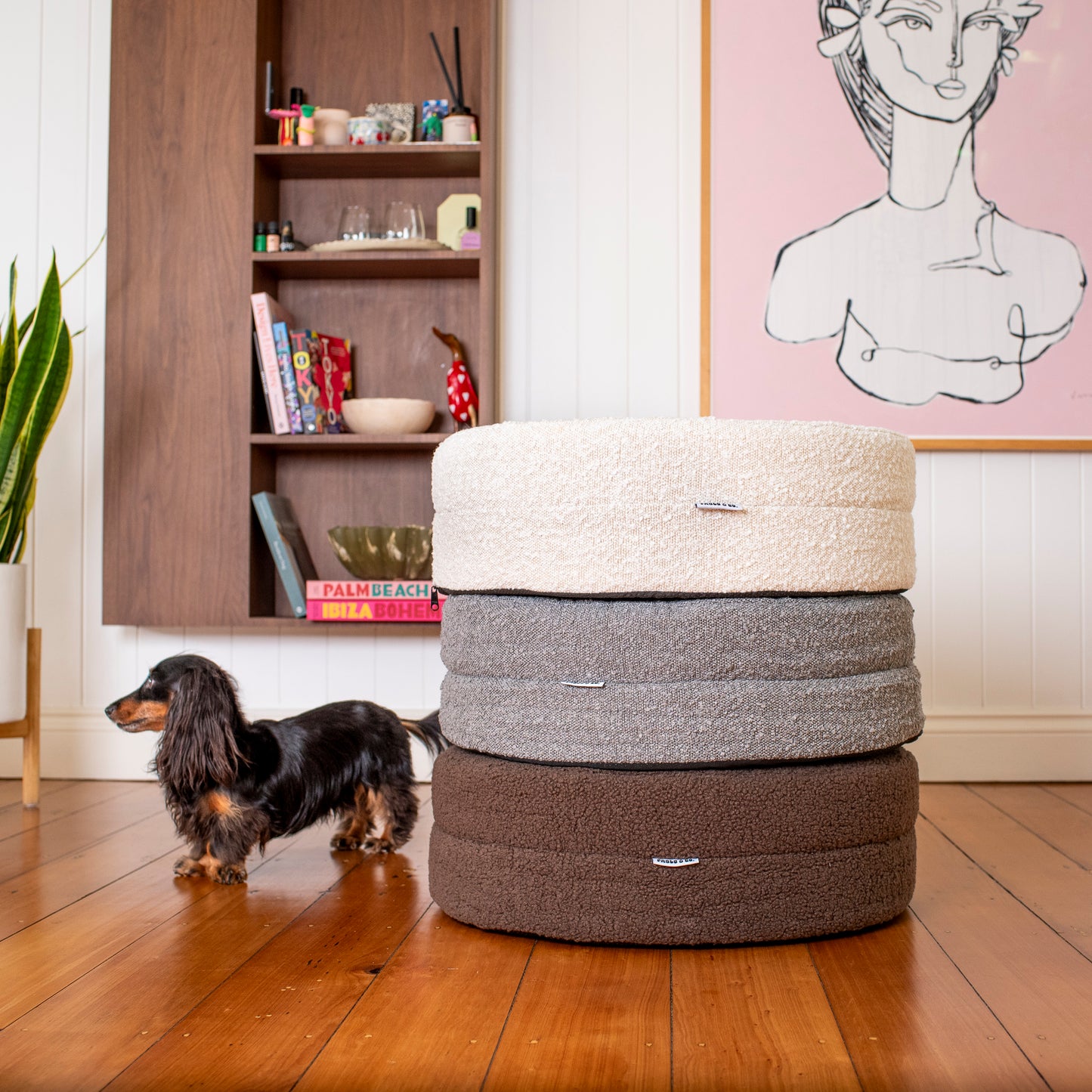 Orthopedic Memory Foam Boucle Donut Dog Bed: Cloud