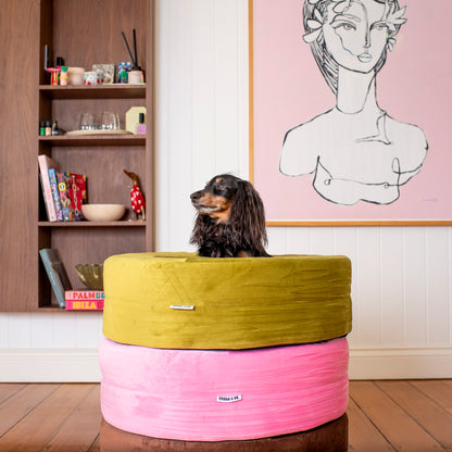 Orthopedic Memory Foam Velvet Donut Dog Bed: Pistachio