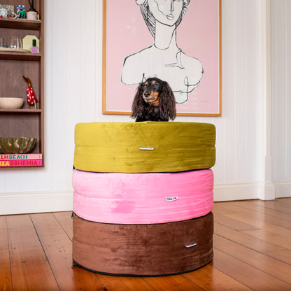 Orthopedic Memory Foam Velvet Donut Dog Bed: Strawberries and Cream