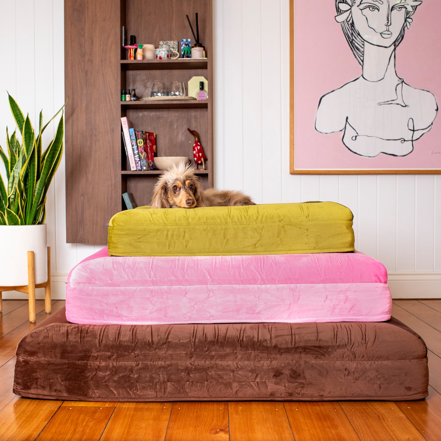 Orthopedic Memory Foam Velvet Dog Bed: Pistachio