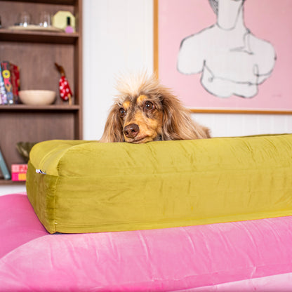 Orthopedic Memory Foam Velvet Dog Bed: Pistachio