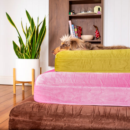 Orthopedic Memory Foam Velvet Dog Bed: Pistachio