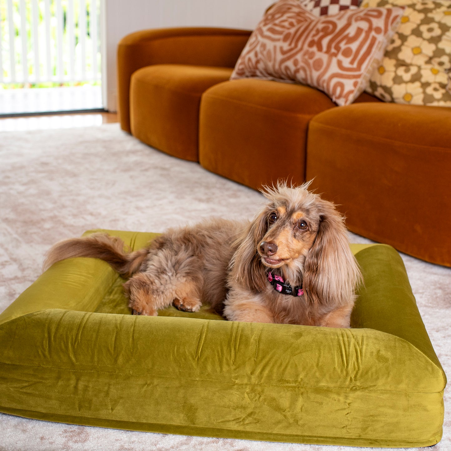 Orthopedic Memory Foam Velvet Dog Bed: Pistachio