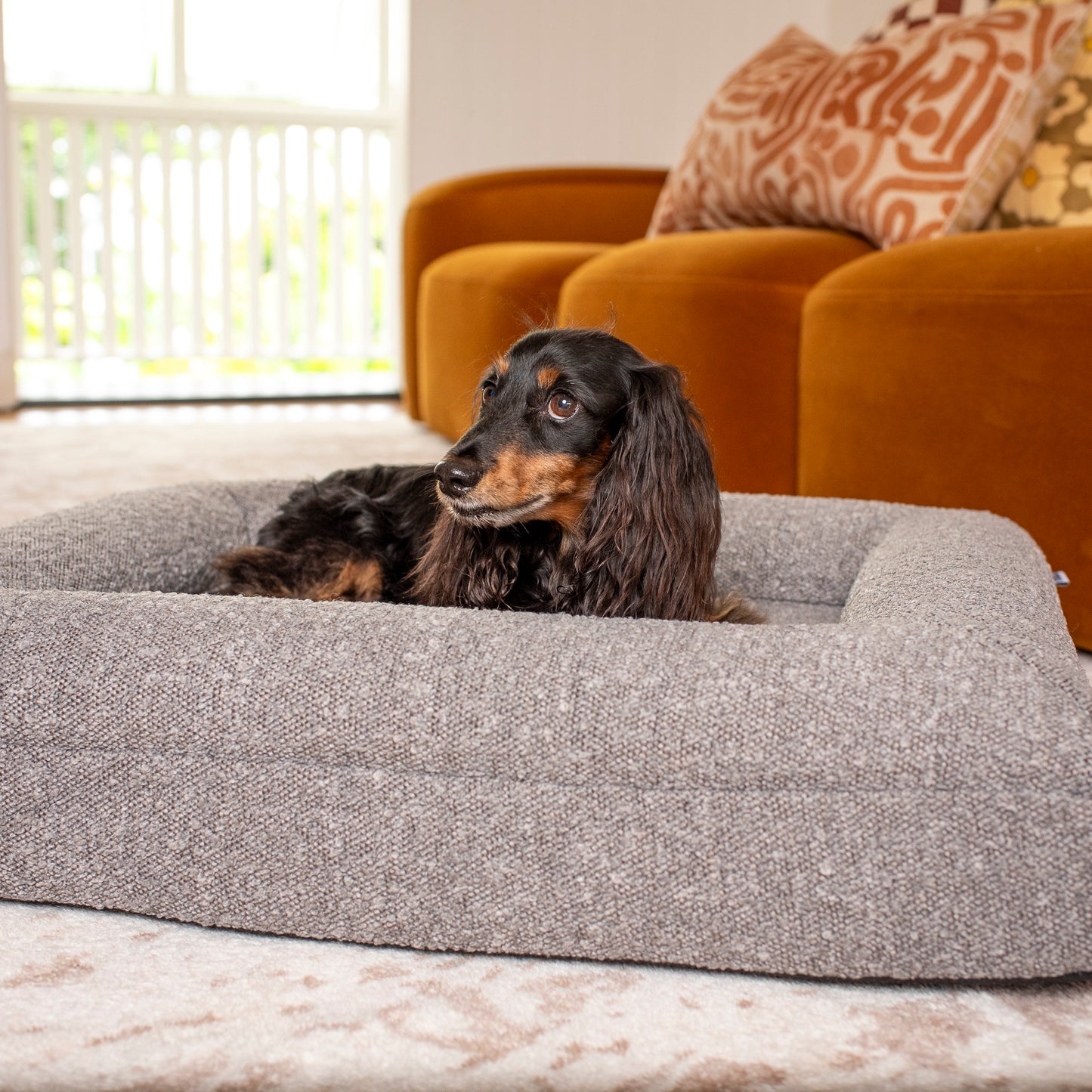 Orthopedic Memory Foam Boucle Dog Bed: Storm