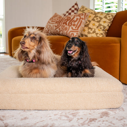 Orthopedic Memory Foam Teddy Dog Bed: Latte