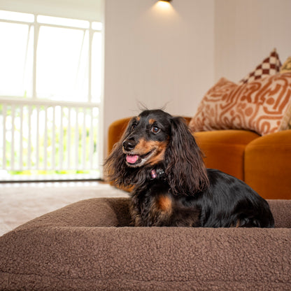 Orthopedic Memory Foam Teddy Dog Bed: Espresso