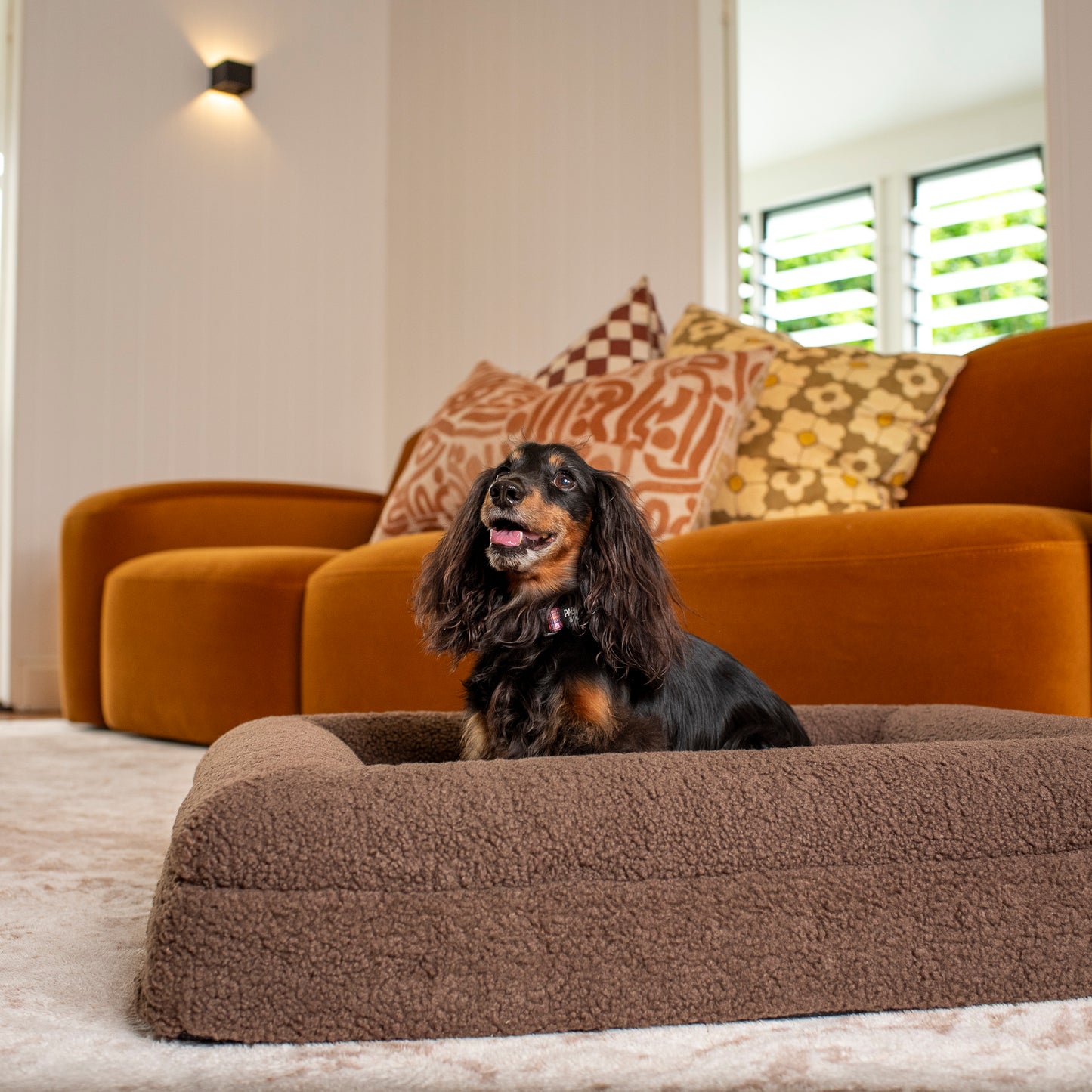 Orthopedic Memory Foam Teddy Dog Bed: Espresso