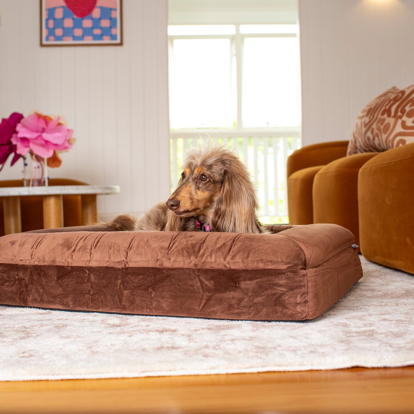 Orthopedic Memory Foam Velvet Dog Bed: Dark Chocolate