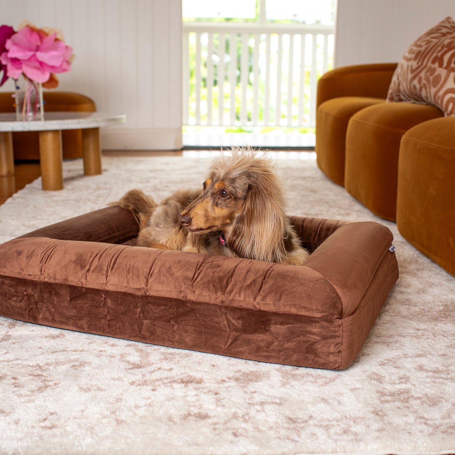 Orthopedic Memory Foam Velvet Dog Bed: Dark Chocolate