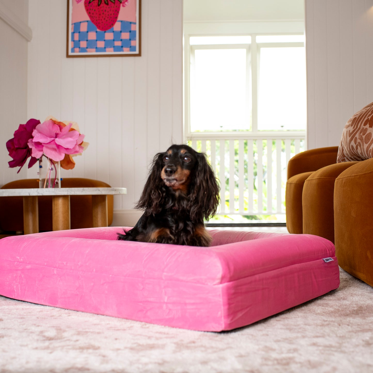 Orthopedic Memory Foam Velvet Dog Bed: Strawberries & Cream