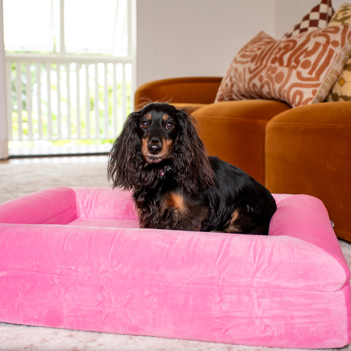 Orthopedic Memory Foam Velvet Dog Bed: Strawberries & Cream