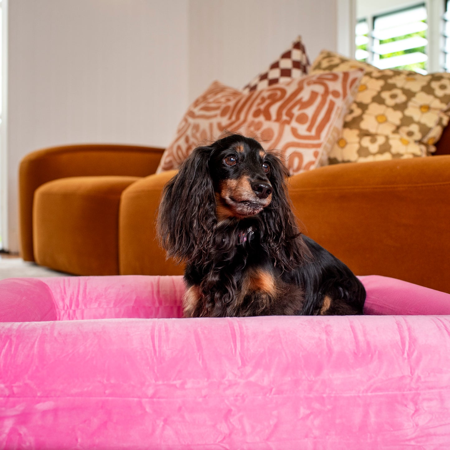 Orthopedic Memory Foam Velvet Dog Bed: Strawberries & Cream