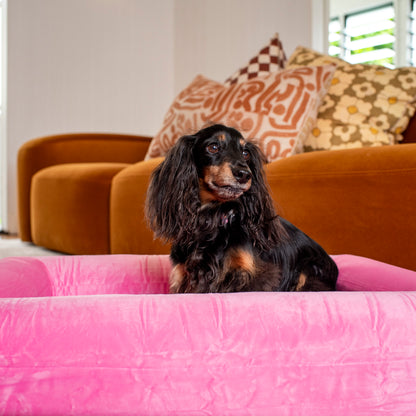 Orthopedic Memory Foam Velvet Dog Bed: Strawberries & Cream