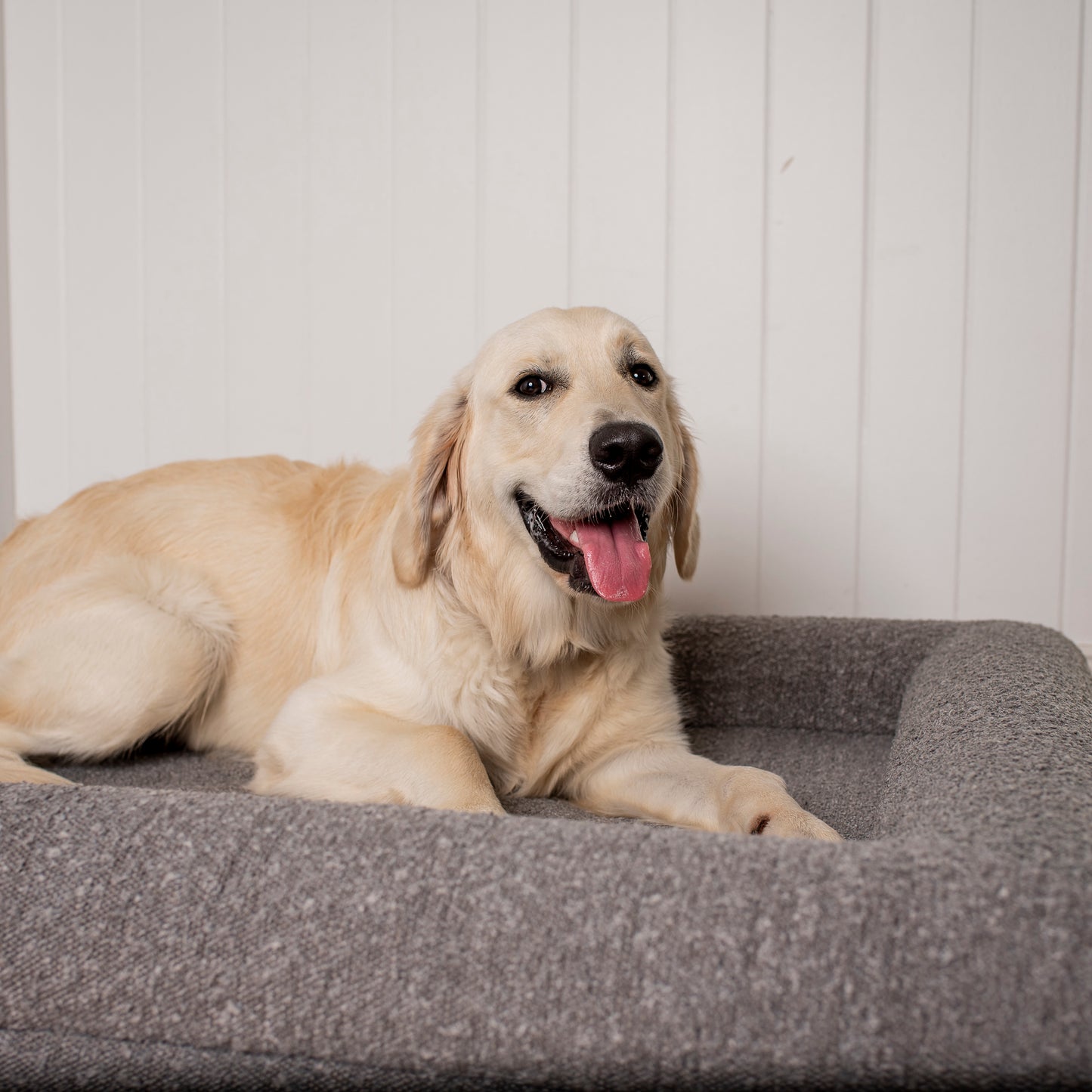 Orthopedic Memory Foam Boucle Dog Bed: Storm