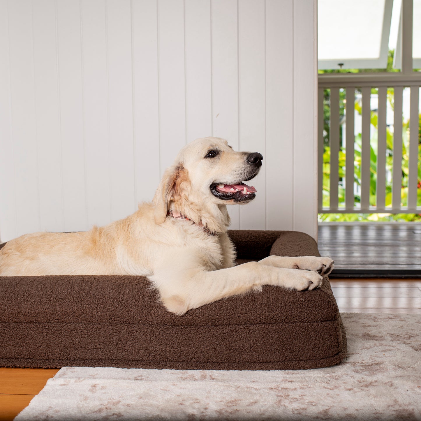 Orthopedic Memory Foam Teddy Dog Bed: Espresso