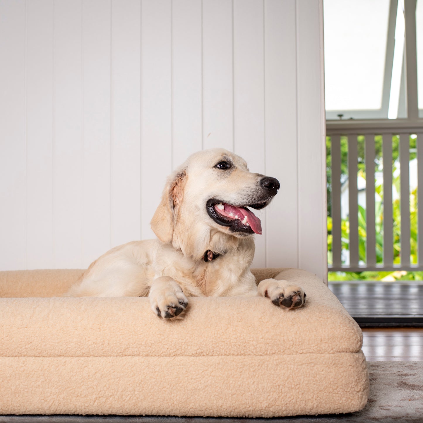 Orthopedic Memory Foam Teddy Dog Bed: Latte