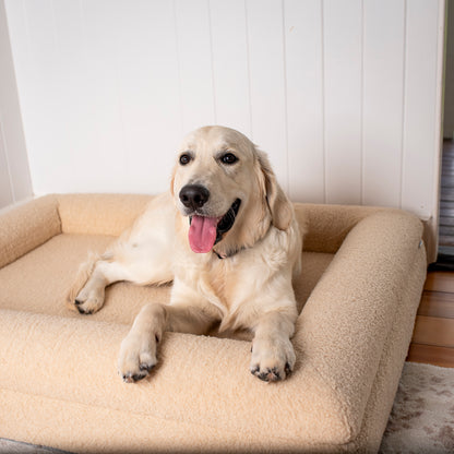 Orthopedic Memory Foam Teddy Dog Bed: Latte