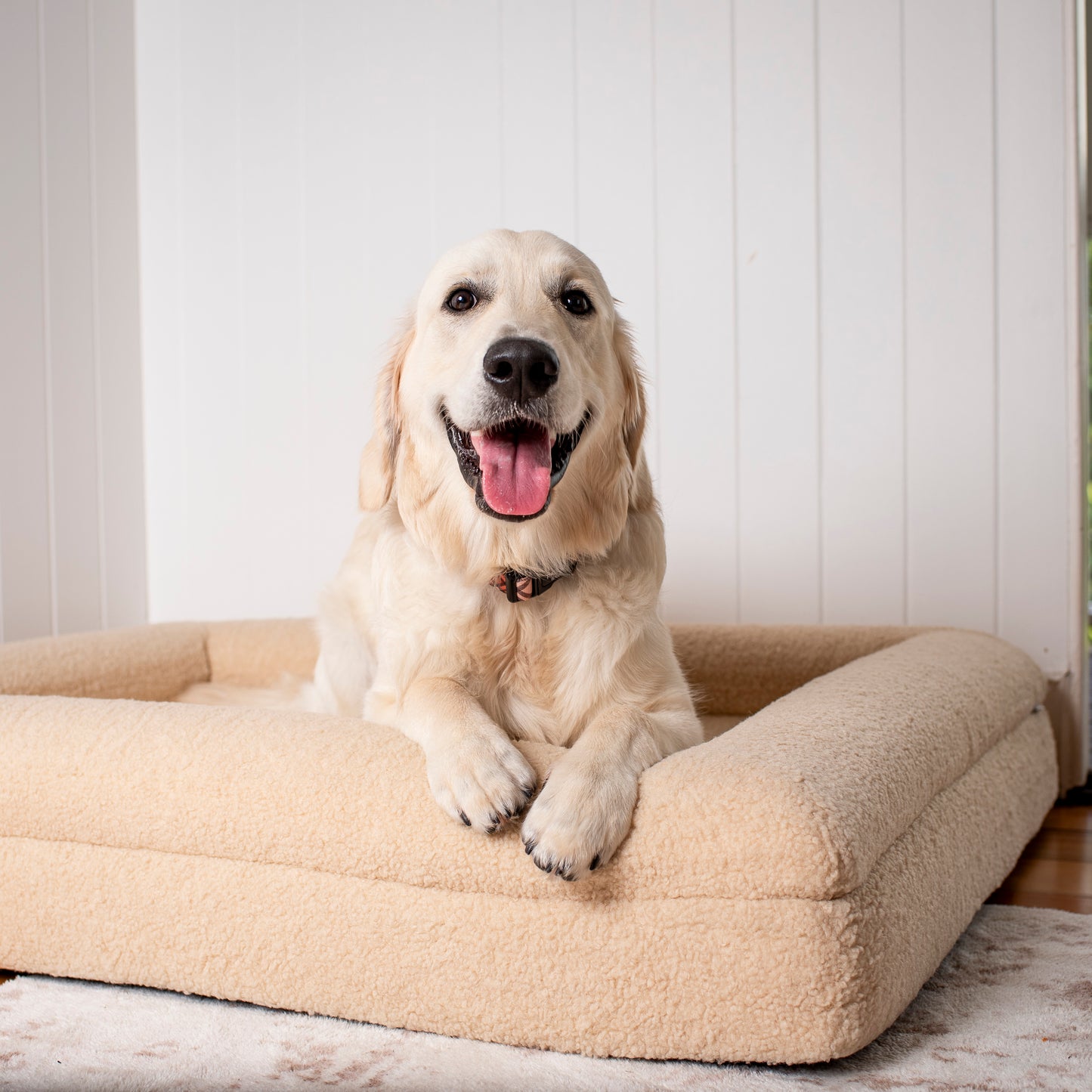 Orthopedic Memory Foam Teddy Dog Bed: Latte