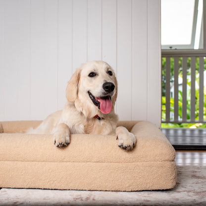 Orthopedic Memory Foam Teddy Dog Bed: Latte