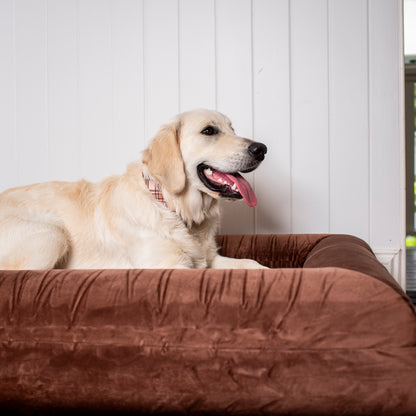 Orthopedic Memory Foam Velvet Dog Bed: Dark Chocolate