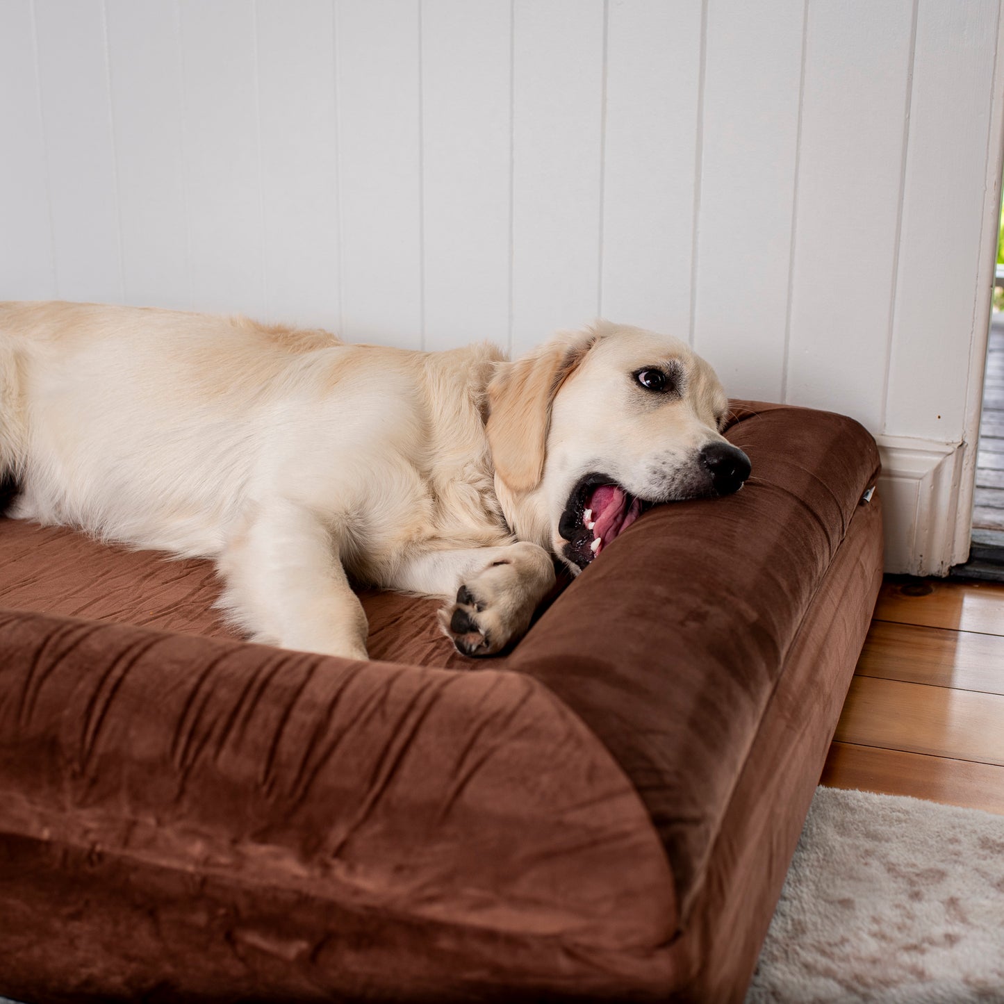 Orthopedic Memory Foam Velvet Dog Bed: Dark Chocolate