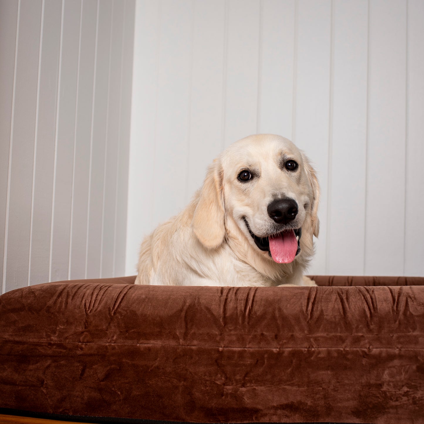 Orthopedic Memory Foam Velvet Dog Bed: Dark Chocolate