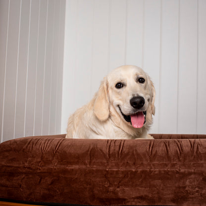 Orthopedic Memory Foam Velvet Dog Bed: Dark Chocolate