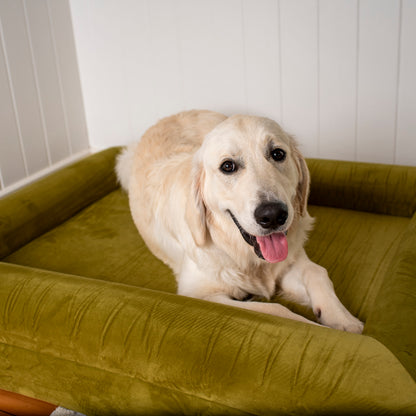 Orthopedic Memory Foam Velvet Dog Bed: Pistachio