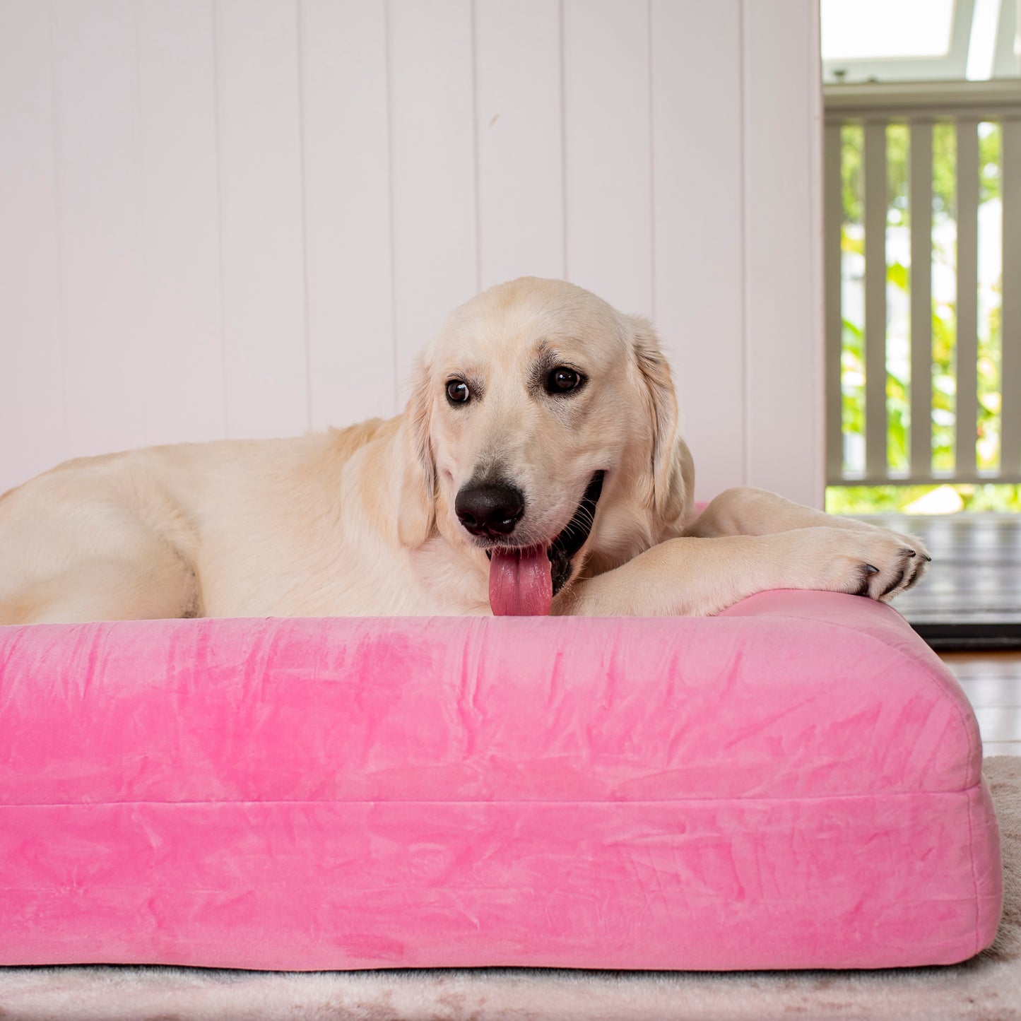 Orthopedic Memory Foam Velvet Dog Bed: Strawberries & Cream