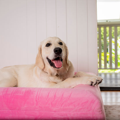 Orthopedic Memory Foam Velvet Dog Bed: Strawberries & Cream