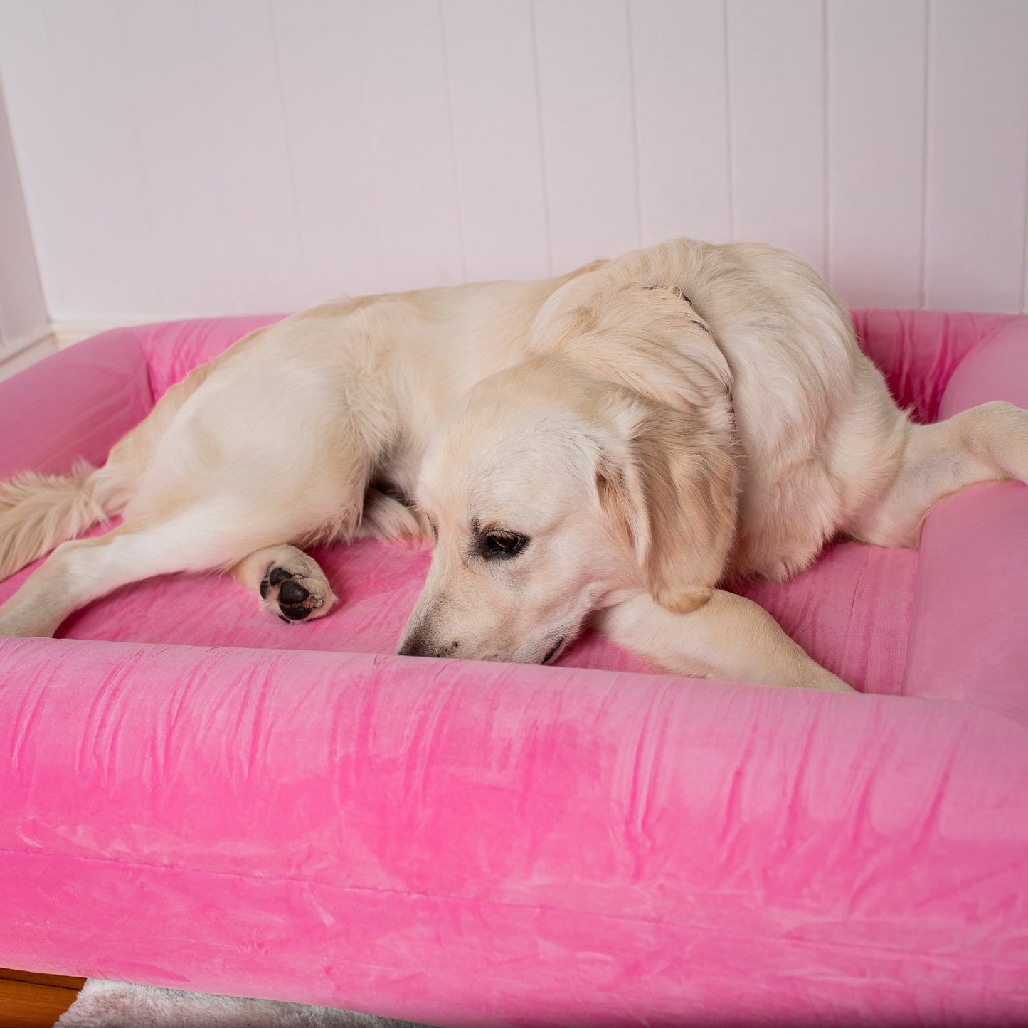 Orthopedic Memory Foam Velvet Dog Bed: Strawberries & Cream