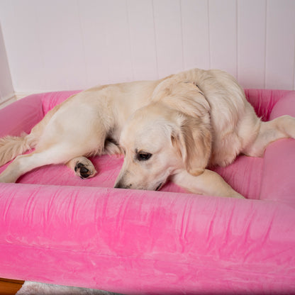 Orthopedic Memory Foam Velvet Dog Bed: Strawberries & Cream