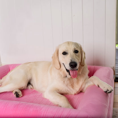 Orthopedic Memory Foam Velvet Dog Bed: Strawberries & Cream